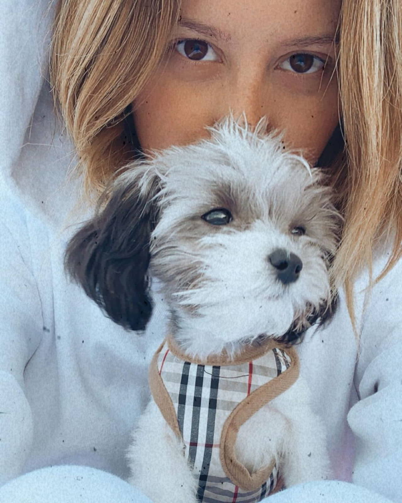 Ashley Tisdale on Social Media - February 28, 2020 - 1