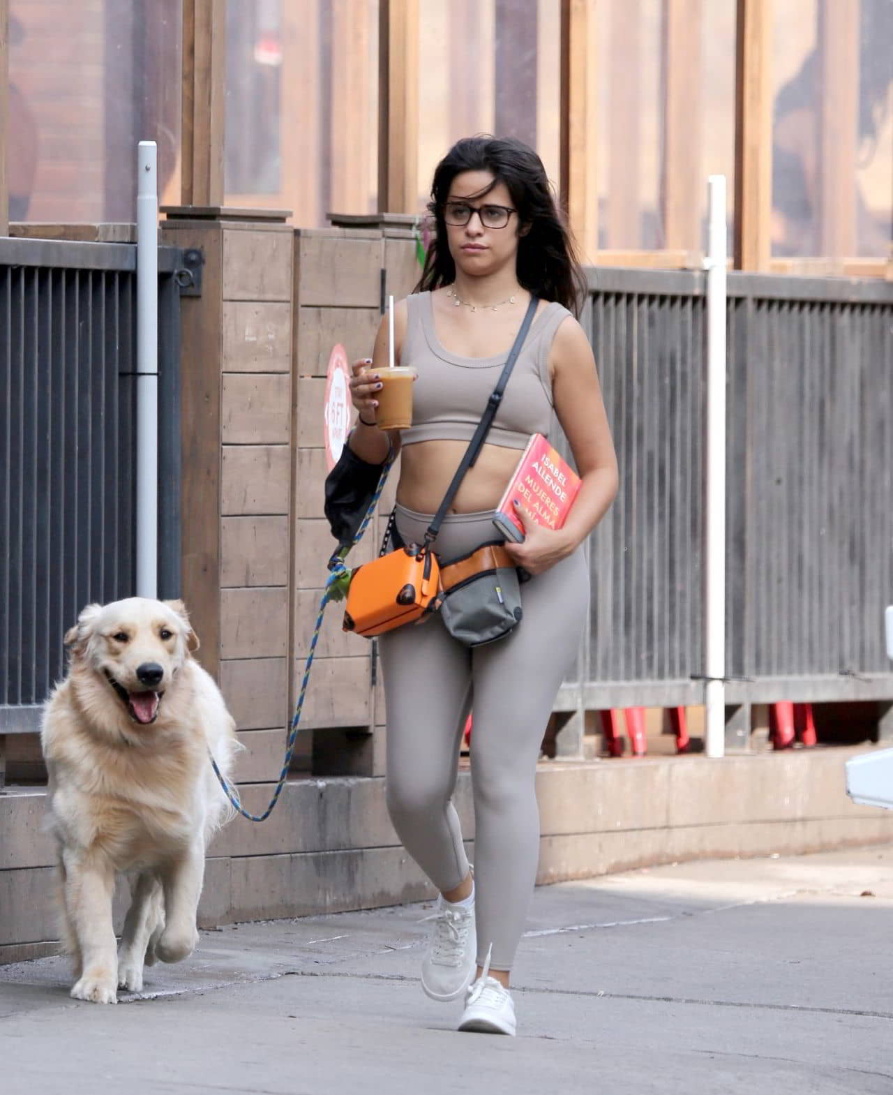 Camila Cabello's Dog Walking in Toronto, August 13, 2021 - 1