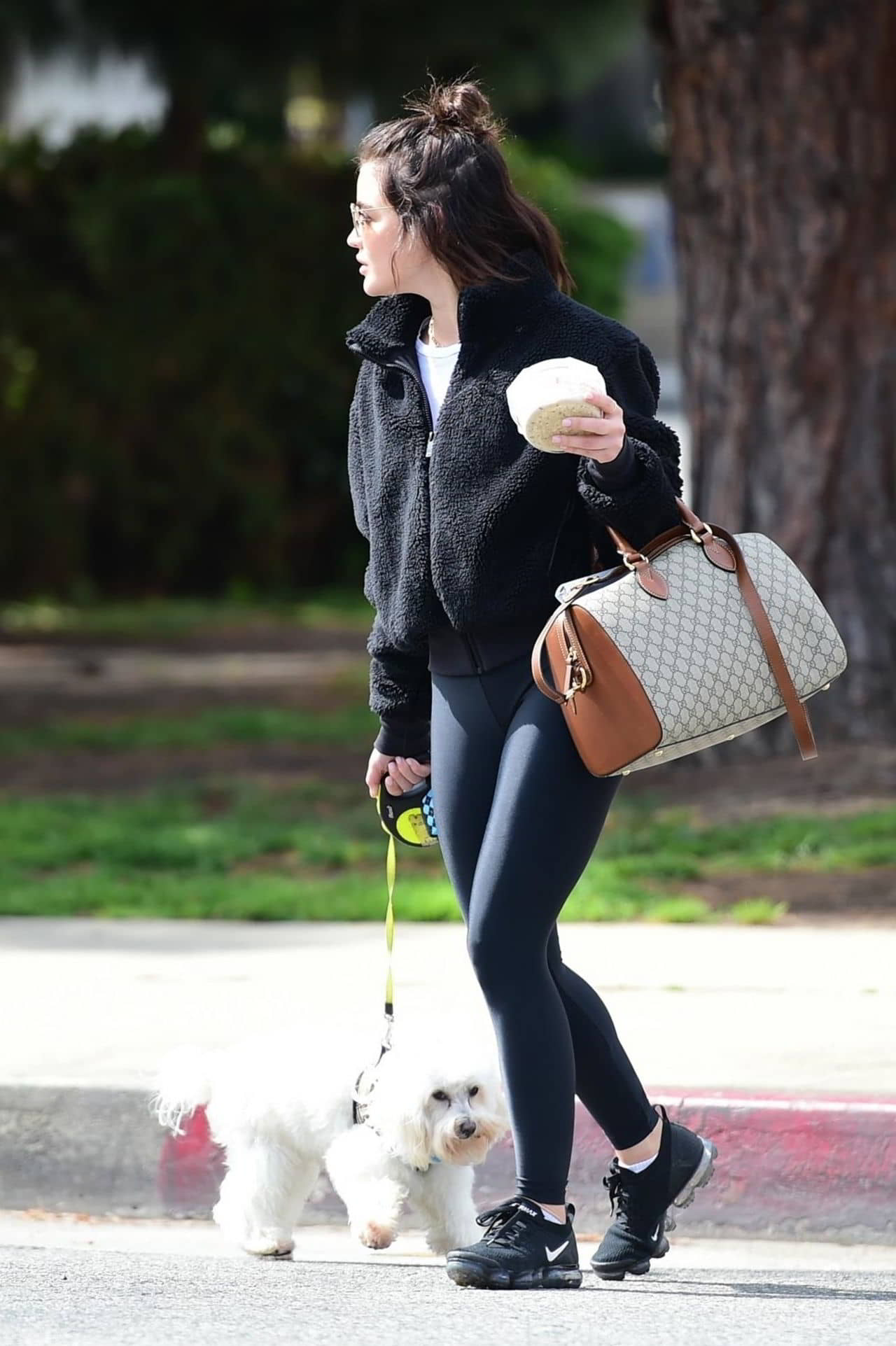 Lucy Hale Walking Her Dog in Los Angeles, May 1, 2019 - 1