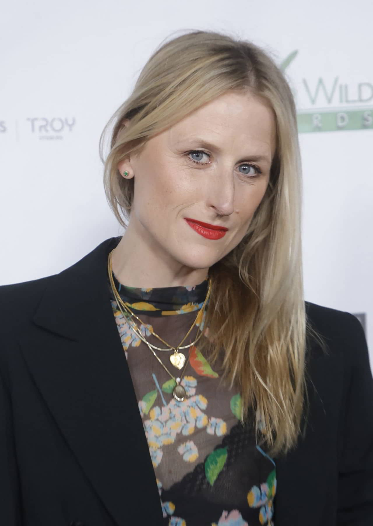 Mamie Gummer at US-Ireland Alliance's Oscar Wilde Awards in Santa Monica, March 9, 2023 - 1