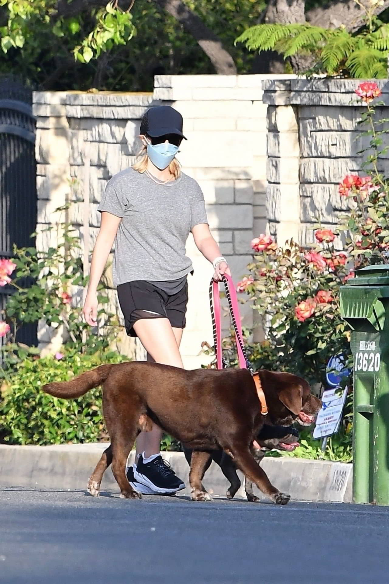 Reese Witherspoon Takes Her Dogs for A Walk in Brentwood, April 27, 2020 - 1