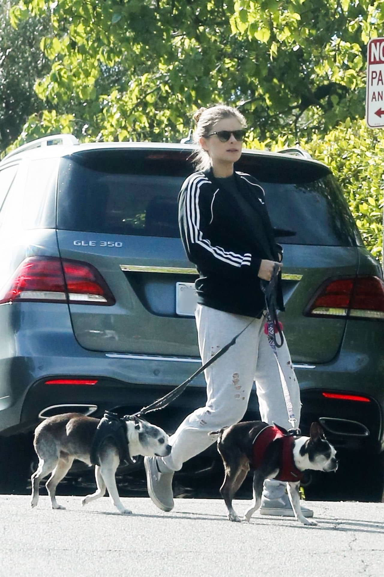 Kate Mara Walking Her Dogs in LA, April 7, 2019 - 1